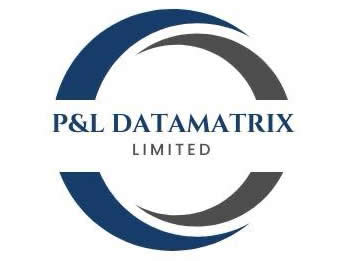 P&L Data Matrix